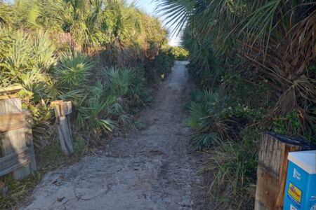 Lori Wilson Park Crossovers